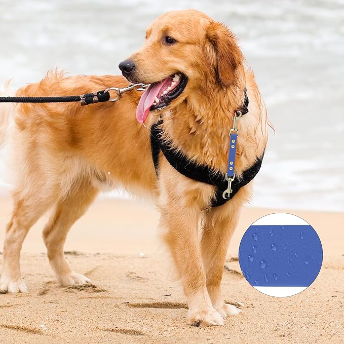 PetBonus Dog Collar Safety Clip, Waterproof Backup Safety Strap for Dog Harness to Prong Collar, Odor Proof Double Ended Clasp Leash Connector for Training Walking (Blue)