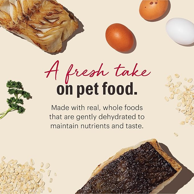 The Honest Kitchen Human Grade Dehydrated Whole Grain Dog Food – Complete Meal or Dog Food Topper – Fish 10 lb (makes 40 lbs) (Pack of 1)