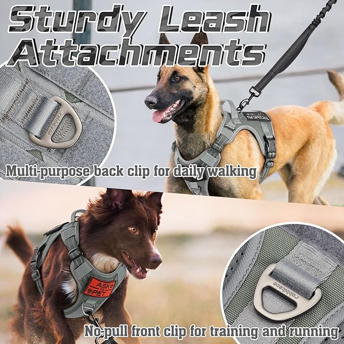rabbitgoo Tactical Dog Harness Medium Sized Dog, No Pull Military Service Vest with Handle & Molle, Easy Control for Training Walking, Adjustable Reflective Straps, Dark Grey, M