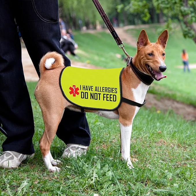 Allergies Warning Dog Jacket Vest I Have Allergies Do Not Feed Dog Harness Special Diet Alleric Dog Gift (DO NOT Feed-Medium)