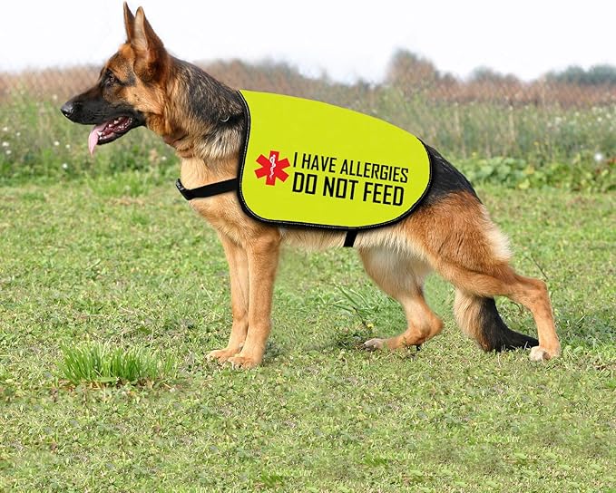 Allergies Warning Dog Jacket Vest I Have Allergies Do Not Feed Dog Harness Special Diet Alleric Dog Gift (DO NOT Feed-Medium)