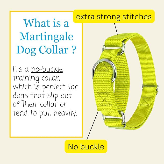 Country Brook Petz Martingale Dog Collar - Heavy-Duty Training Collar with No Buckle - Service Dog Collar for All Pups - Vibrant, Colorful Collection (Hot Yellow, 3/8 Inch, 2XS)