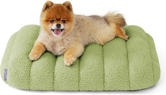 Lesure Cute Orthopedic Dog Bed for Small Dogs, Waterproof Chic Flat Pet Beds with Removable Washable Cover, Fuzzy Thick Egg Crate Foam Pet Mat for Indoor Use (24" x 18", Green)