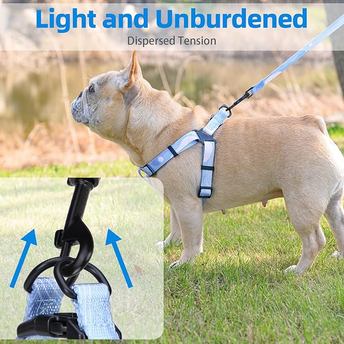 PUPTECK No Pull Dog Harness Soft Adjustable Basic Nylon Step in Puppy Vest Outdoor Walking with Leash Printed Babyblue