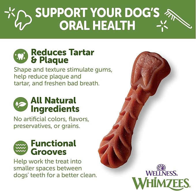 WHIMZEES Wellness Daily Brushzees Dog Dental Treats, Natural Chews, Extra Small Size Stick, (28 Count)