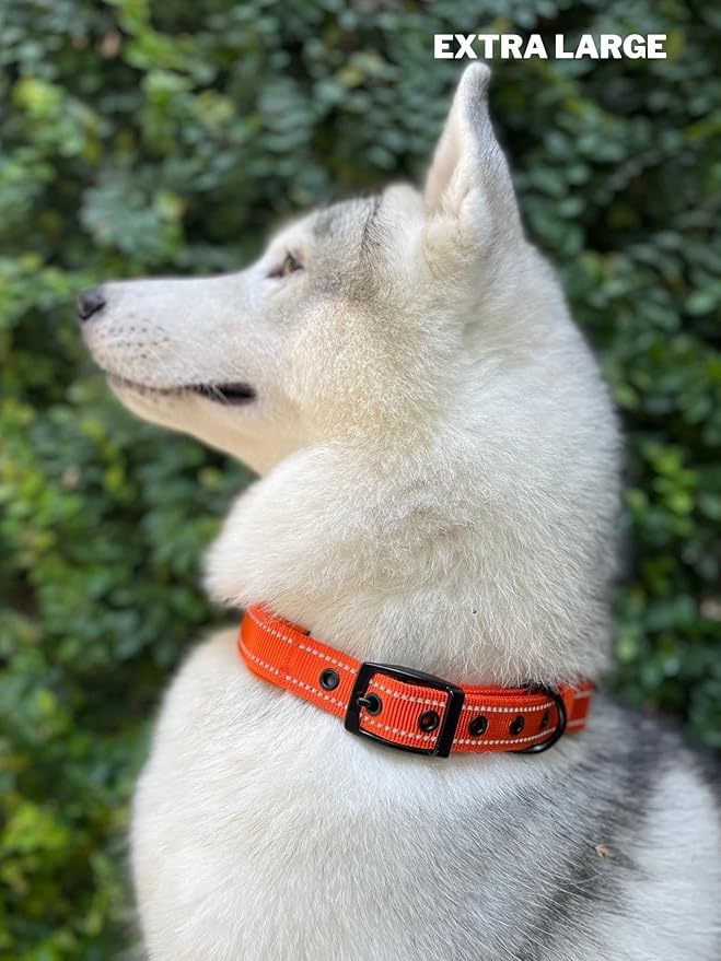 Heavy Duty Dog Collar with Handle | Ballistic Nylon Heavy Duty Collar | Padded Reflective Dog Collar with Adjustable Stainless Steel Hardware | Convenient Sizing for All Breeds X-Large (19-23" Neck)