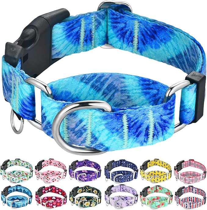 Martingale Collar with Buckle Blue Tie Dye Training Collar Adjustable Nylon Boy Dog Collars (Blue Teal, Small)