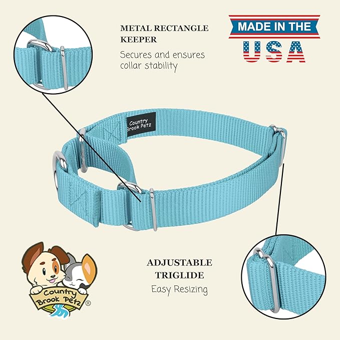 Country Brook Petz Martingale Dog Collar - Heavy-Duty Training Collar with No Buckle - Service Dog Collar for All Pups - Vibrant, Colorful Collection (Ocean Blue, 3/8 Inch, 2XS)