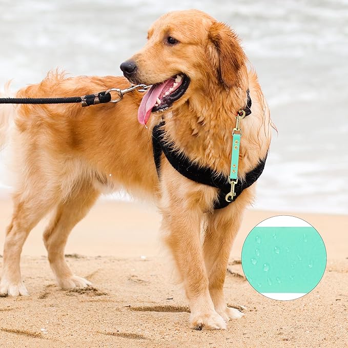 PetBonus Dog Collar Safety Clip, Waterproof Backup Safety Strap for Dog Harness to Prong Collar, Odor Proof Double Ended Clasp Leash Connector for Training Walking (Mint Green)