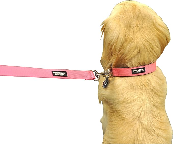 Downtown Pet Supply Deluxe Dog Collar - Padded Adjustable Dog Collar with Metal Buckle & D-Ring - Machine Washable & Water Resistant Thick Dog Collar - Purple - XL - Extra Large Dog Collar