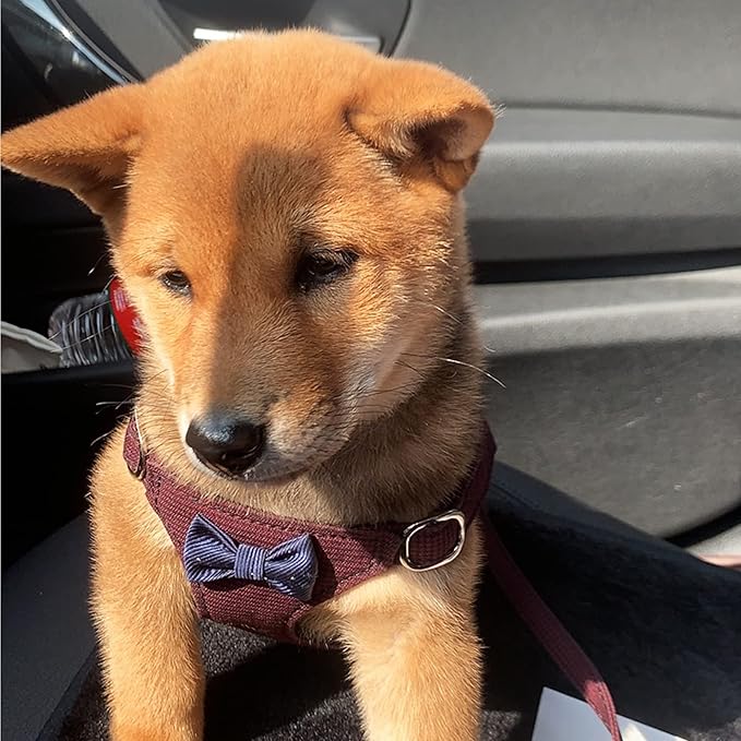 Puppytie No Pull Small Dog Harness with Multifunction Dog Leash,Lightweight Soft Adjustable No Choke Escape Proof Pet Harness Vest Pet Harness Vest,Plaid deep red,S