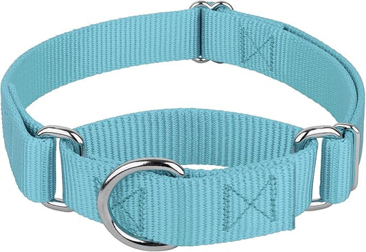 Country Brook Petz Martingale Dog Collar - Heavy-Duty Training Collar with No Buckle - Service Dog Collar for All Pups - Vibrant, Colorful Collection (Ocean Blue, 3/4 Inch, Small)