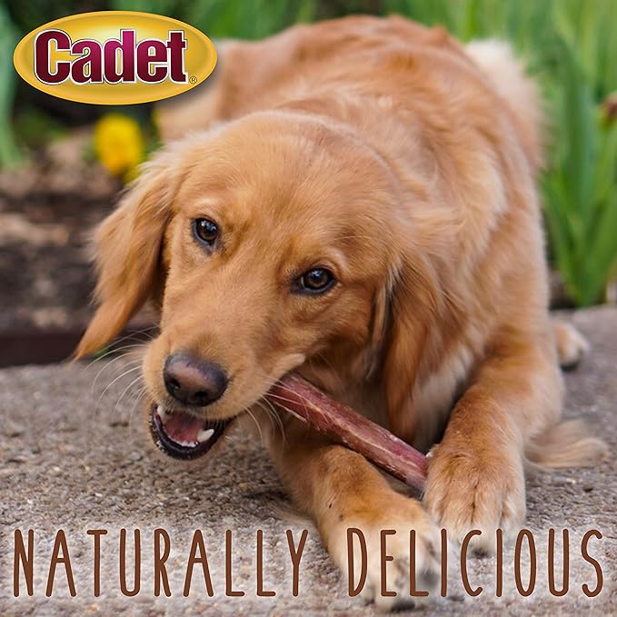 Cadet Bully Sticks for Small Dogs – All-Natural Beef Pizzle, High Protein, Low Fat, Long-Lasting, Grain & Rawhide-Free Dog Chews for Aggressive Chewers, Small (6 Ounce)