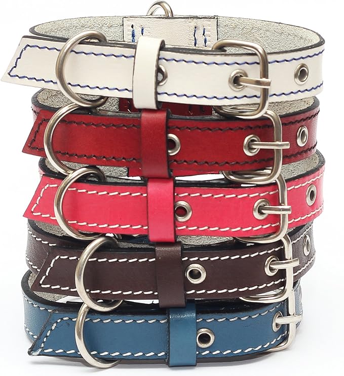 Premium Leather Collars with Stainless Steel Buckles (9"-12", Red)