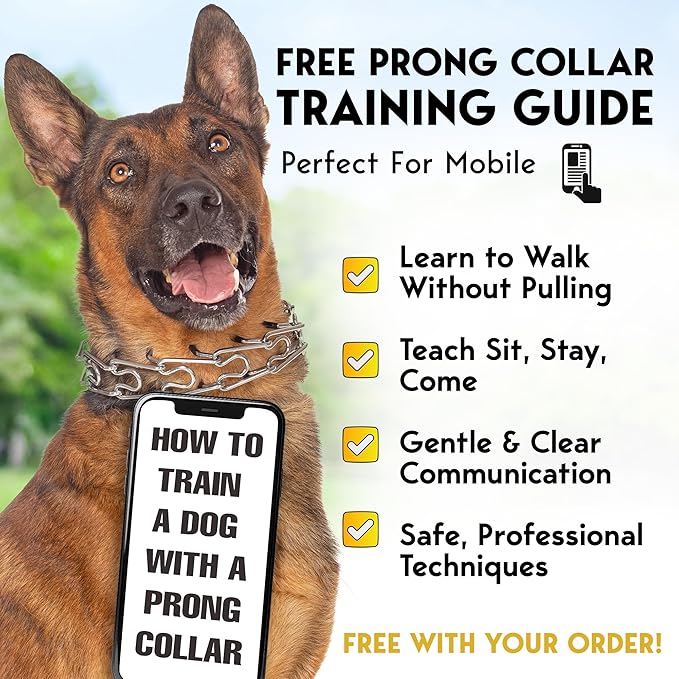 PetJett Prong Collar for Dogs Training Collar Adjustable Choke Collar Quick Release Pinch Collar for Small Medium Large Dogs No Pull Dog Collars Walking Tool - Stainless Steel Metal Choker Chain