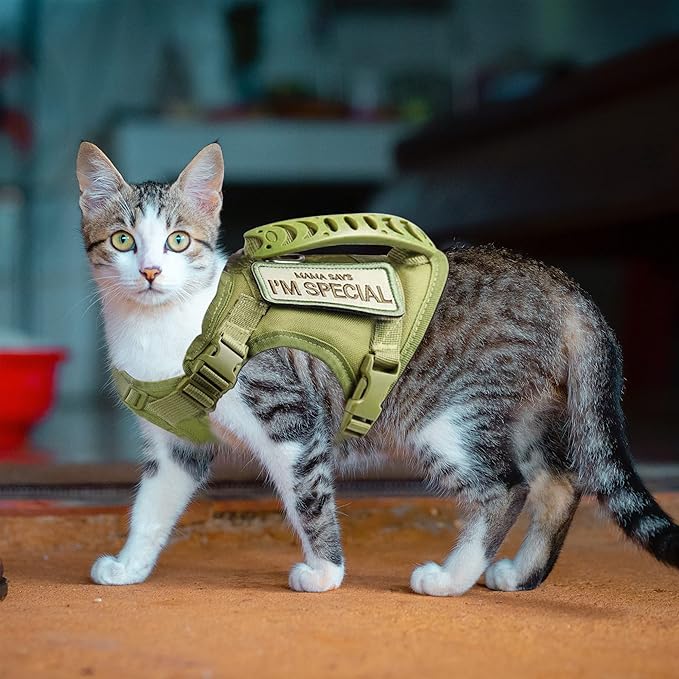 Tactical Cat Harness for Walking Escape Proof, Adjustable Pet Vest Harness, Soft Mesh with Control Handle for Large Cat Small Dog, Gift with Patch