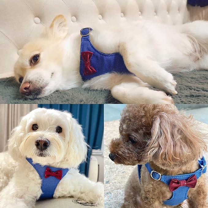 Puppytie No Pull xs Dog Harness with Multifunction Dog Leash,Soft Adjustable No Choke Escape Proof Pet Harness Vest,Plaid Blue,xs