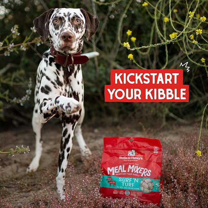 Stella & Chewy's Freeze-Dried Raw Surf & Turf Meal Mixers - Dog Food Topper and Mixer - Made with 95% Grass-Fed Beef & Wild-Caught Salmon - Perfect for Picky Eaters - Grain-Free - 8 oz