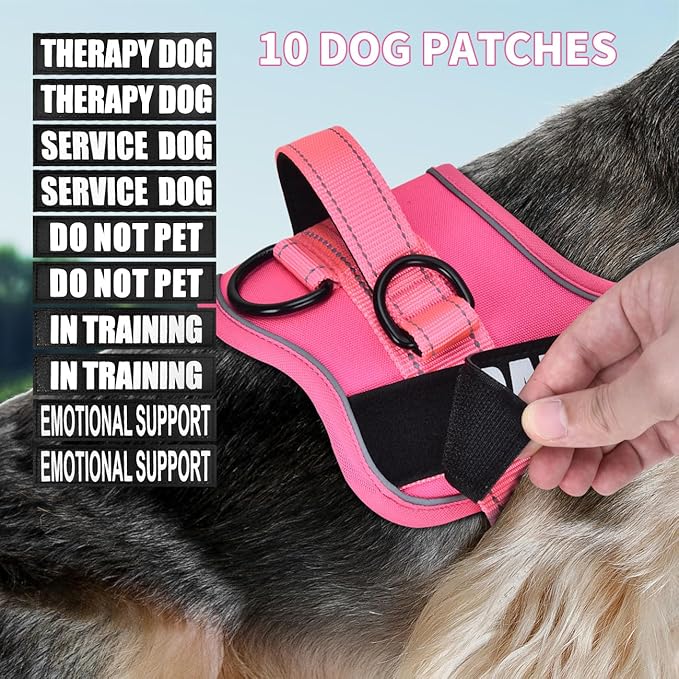 Dog Vest Harness and Leash Set, Animire Reflective Service Dog Vest with 10 Patches, 3 Rings No Choke Pet Vest for Leash Placement, in Training Dog Harness for Small Medium Large Dogs(Hot Pink,S)