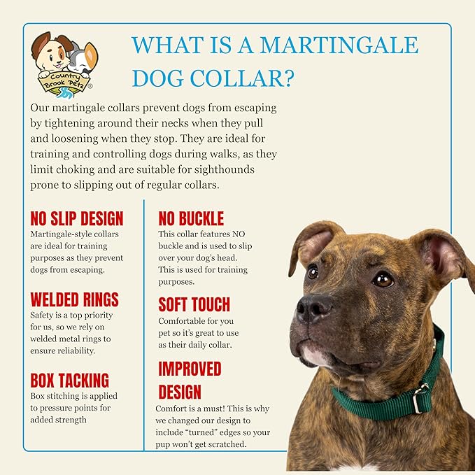 Country Brook Petz Martingale Dog Collar - Heavy-Duty Training Collar with No Buckle - Service Dog Collar for All Pups - Vibrant, Colorful Collection (Green, 3/8 Inch, 3XS)