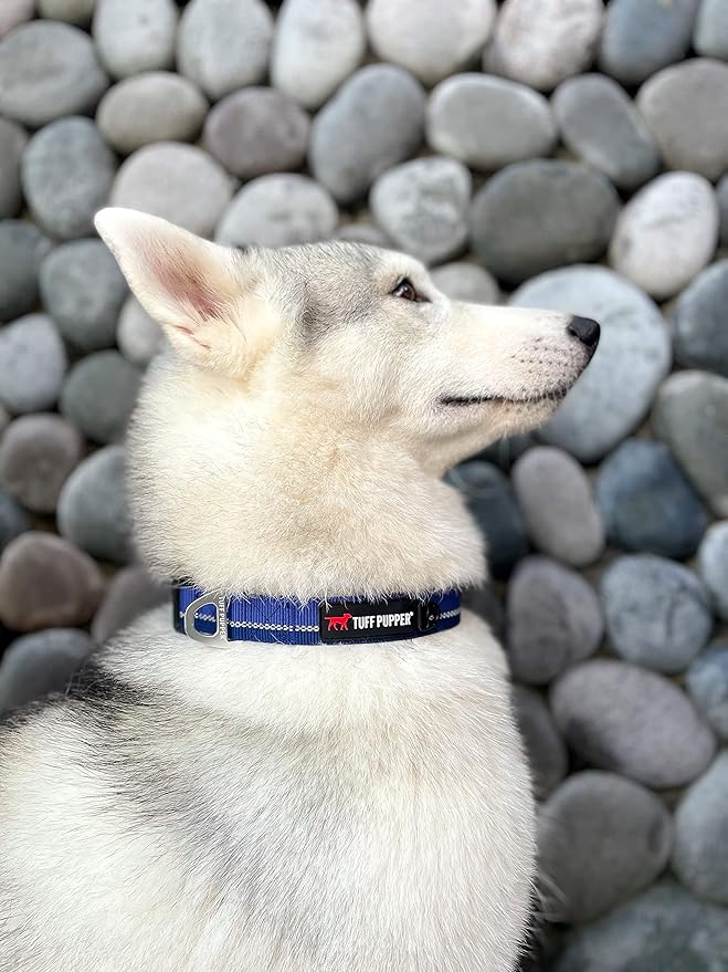 Tuff Pupper Heavy Duty Dog Collar | Reflective with Aluminum D-Ring Leash Clip | Separate Dog ID Tag Attachment | Easy Sizing for All Breeds