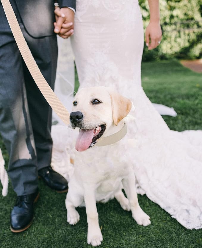 Soft Corduroy Dog Collar and Leash Set, Adjustable Cotton Dog Collars with Metal Buckle and Lead for Large Dogs,Beige