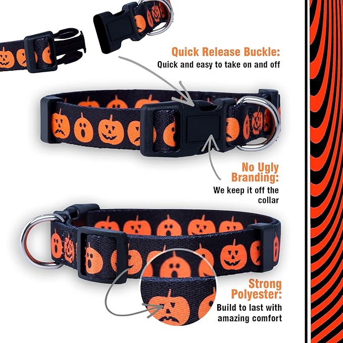 Native Pup Halloween Dog Collar- Spooky Fall Themed Horror Costume Collars- Skull, Pumpkin, Ghost, Bat, Witch, Candy Corn, Spider- Adjustable for Small, Medium, Large Breeds (Medium, Big Pumpkins)