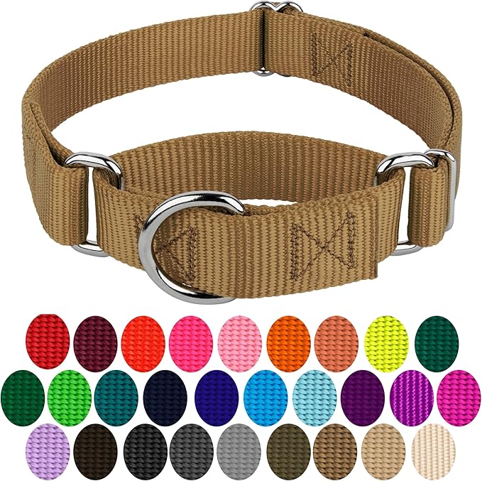 Country Brook Petz Martingale Dog Collar - Heavy-Duty Training Collar with No Buckle - Service Dog Collar for All Pups - Vibrant, Colorful Collection (Coyote Tan, 3/8 Inch, 2XS)