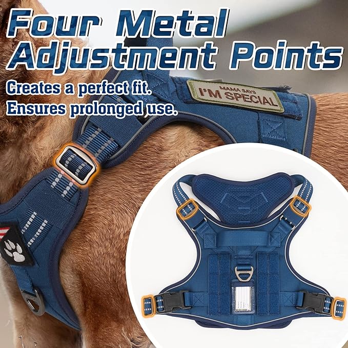 rabbitgoo Tactical Dog Harness Medium Sized Dog, No Pull Military Service Vest with Handle & Molle, Easy Control for Training Walking, Adjustable Reflective Straps, Blue, M