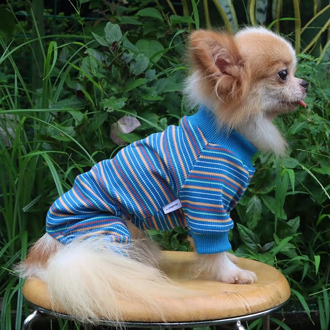 LOPHIPETS Dog Pajama Onesie for Small Bichon Clothes Apparel-Blue/XL