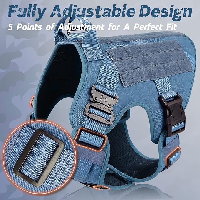 rabbitgoo Tactical Dog Harness for Small, Heavy Duty Pet Harness with Handle, No-Pull Service Vest Small Breed, Adjustable Military Dog Vest for Training Hunting Walking, Blue, S