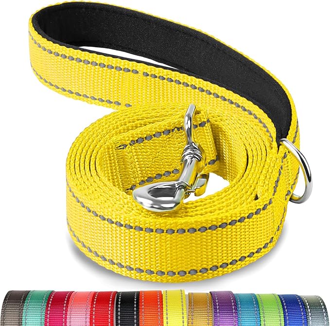 Joytale Double-Sided Reflective Dog Leash, 6 FT/5 FT/4 FT, Padded Handle Nylon Heavy Duty Leashes for Small & Medium Dogs Walking, Yellow, 5FT