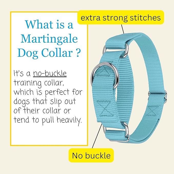 Country Brook Petz Martingale Dog Collar - Heavy-Duty Training Collar with No Buckle - Service Dog Collar for All Pups - Vibrant, Colorful Collection (Ocean Blue, 3/4 Inch, Small)