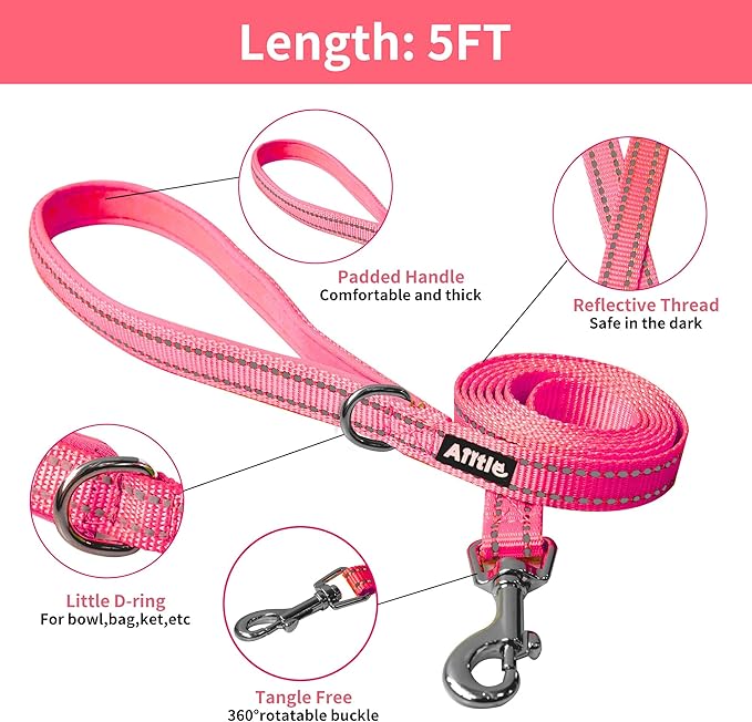 AIITLE Dog Harness with Leash Set - All Weather Breathable Mesh, Reflective Stripes, Adjustable Escape Proof Pet Outdoor Harnesses for Medium Dogs Hot Pink M
