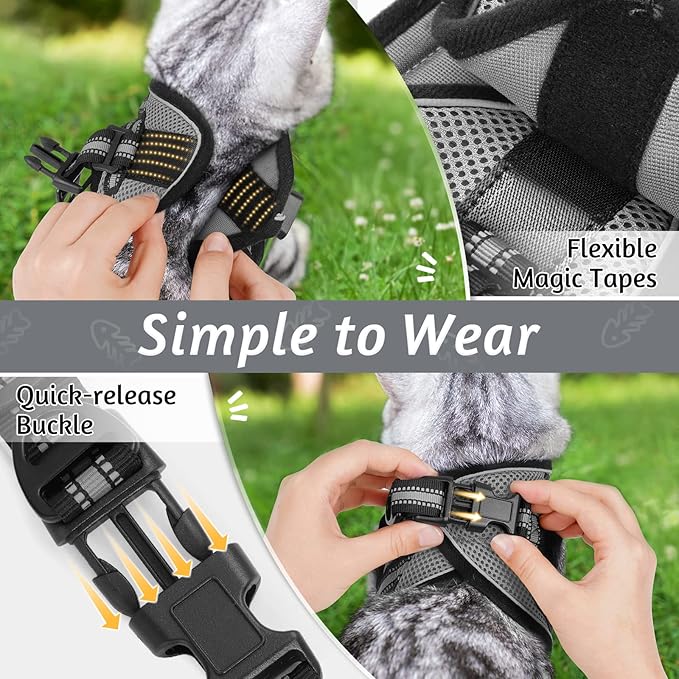rabbitgoo Cat Harness and Leash Set for Walking Escape Proof, Adjustable Soft Kittens Vest with Reflective Strip for Cats, Comfortable Outdoor Vest, Grey, S