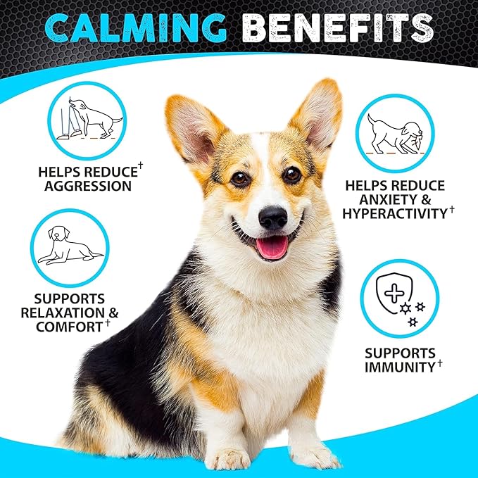 FURALAND Hemp Calming Chews for Dogs Anxiety - 170 Dog Calming Treats - Anxiety Relief Treats - Hemp Oil - Sleep Aid - Advanced Health Joint Support Supplement - Made in USA