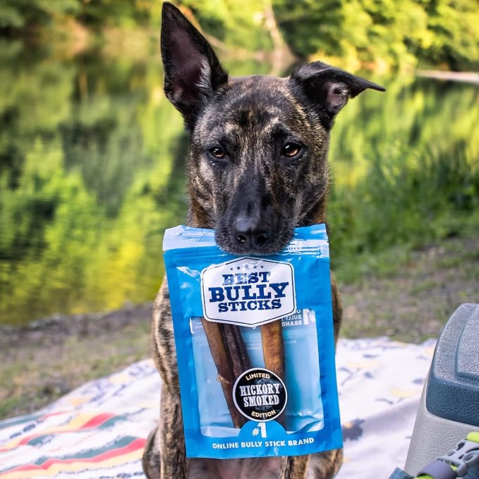 Best Bully Sticks Hickory Smoked Thick 6 Inch Bully Sticks - 5 Count (Pack of 1) - Natural, Grain and Odor-Free, Smoky Aroma, No Additives, Grass-Fed
