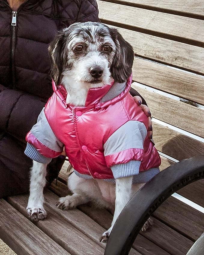 Sporty Vintage Aspen Pet Ski Jacket, Medium, Red
