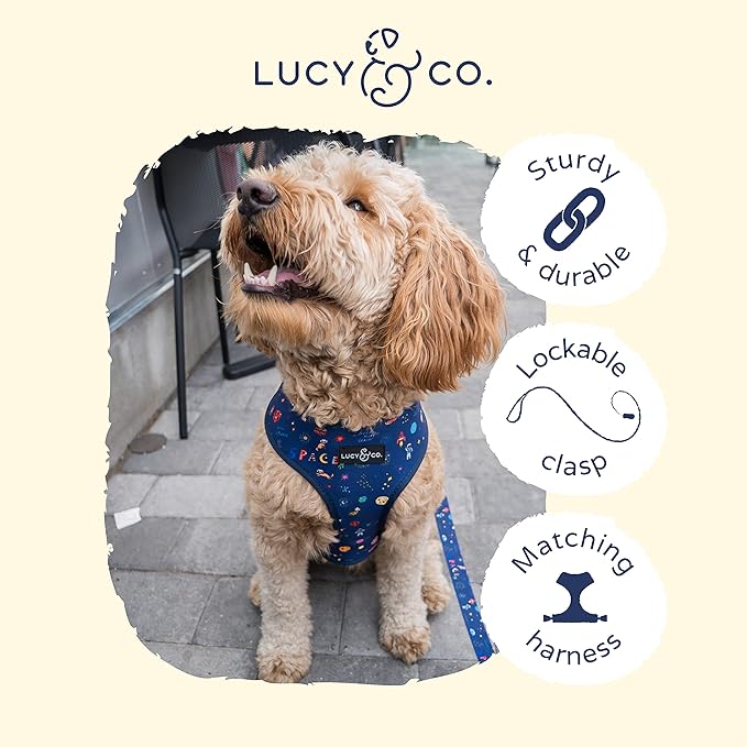 Lucy & Co. 5 Foot Designer Dog Leash – Puppy Leash – Pet Accessories & Supplies (Space Doodle, Small)