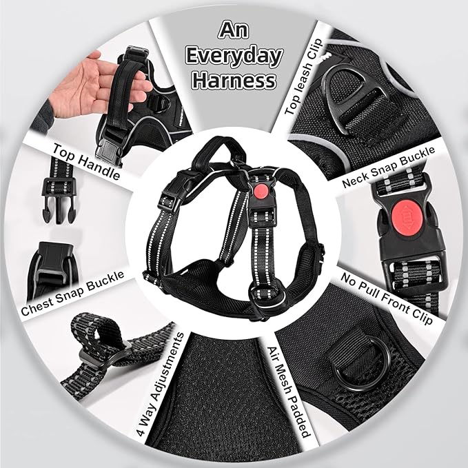 No Pull Dog Harness with Free Heavy Duty 5ft Leash, Adjustable Soft Padded Dog Vest, Reflective No-Choke Oxford Vest with Easy Control Handle (Black, Medium)