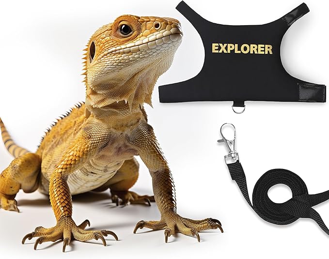Bearded Dragon Leash and Harness Adjustable - Escape Proof Soft Leather Reptile Lizard Leash Harness with 5 ft Short Leash for Walking Outdoor