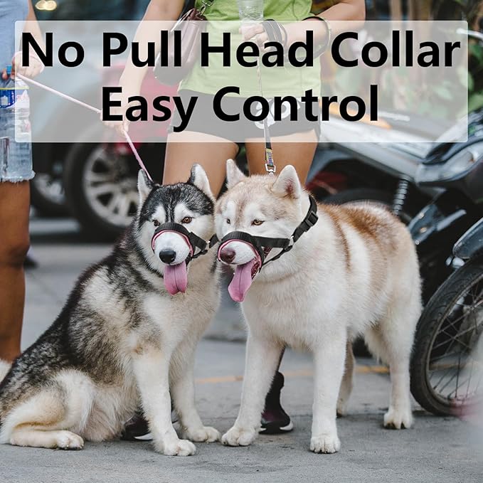 Dog Head Collar, Fabric Padded Head Collar for Dogs to Prevent Pulling, Adjustable Dog Head Harness (L,Blue)