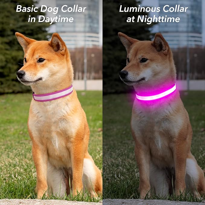 Visinite Light Up Dog Collars, Lighted Dog Collars Rechargeable Waterproof, Dog Glow Collar for Pet Safety Dog Lights Night Walking, Fully Adjustable Led Dog Collar for Small Medium Large Dogs