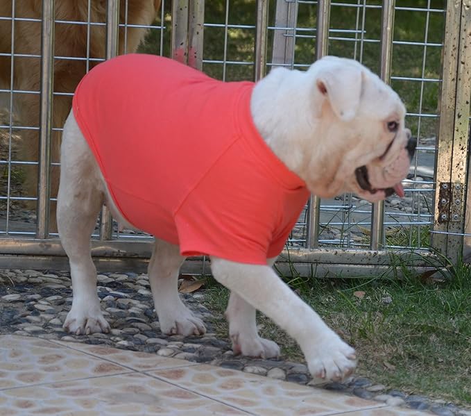 Lovelonglong Bulldog Clothes Dog Clothing Blank T-Shirt Tee Shirts for French Bulldog English Bulldog American Pit Bull Pugs 100% Cotton Skin Care Lobster-Pink B-XL