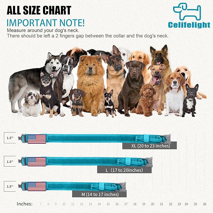 Tactical Military Dog Collar - Adjustable Nylon, Heavy Duty Metal Buckle with Handle for Dog Training, with Patches (Light Blue 1, L)