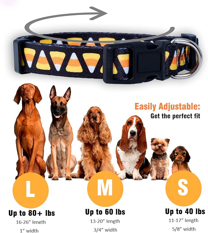 Native Pup Halloween Dog Collar- Spooky Fall Themed Horror Costume Collars- Skull, Pumpkin, Ghost, Bat, Witch, Candy Corn, Spider- Adjustable for Small, Medium, Large Breeds (Medium, Candy Corn)