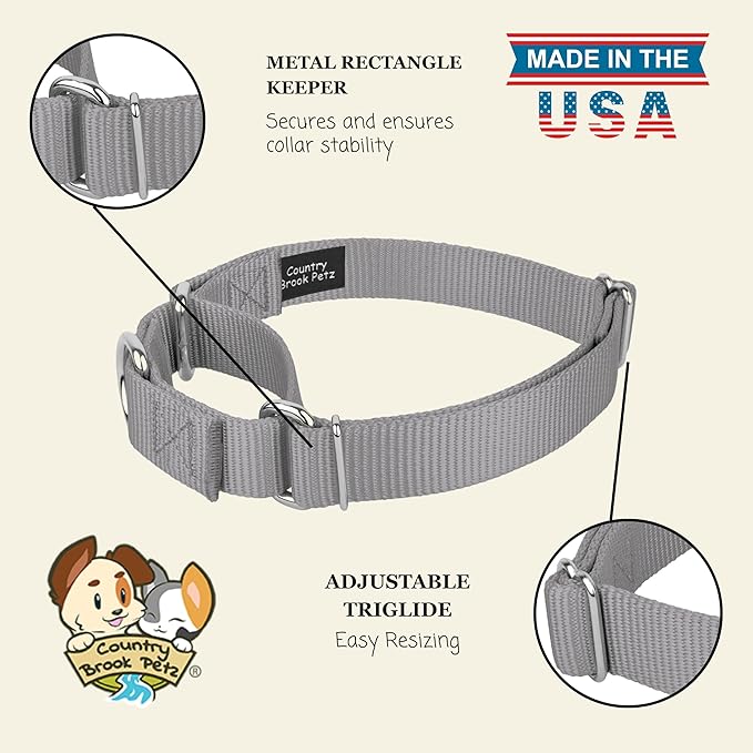 Country Brook Petz Martingale Dog Collar - Heavy-Duty Training Collar with No Buckle - Service Dog Collar for All Pups - Vibrant, Colorful Collection (Silver, 3/4 Inch, Small)