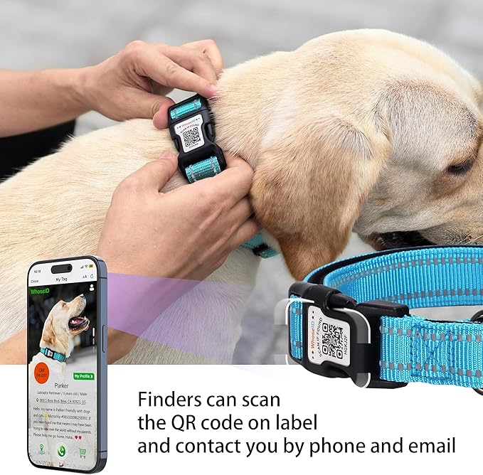 Dog Collar with QR Code, Reflective Dog Collar, Soft Neoprene Padded & Safety Locking Buckle Adjustable Pet Collar (Blue, M-with Airtag Holder)