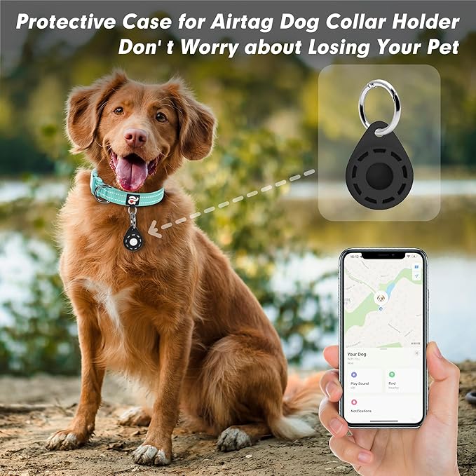 azuza Reflective Dog Collar with Airtag Holder, Soft Neoprene Padded Pet Collar with ID Tag Ring, Adjustable for Small Dogs,Teal,S