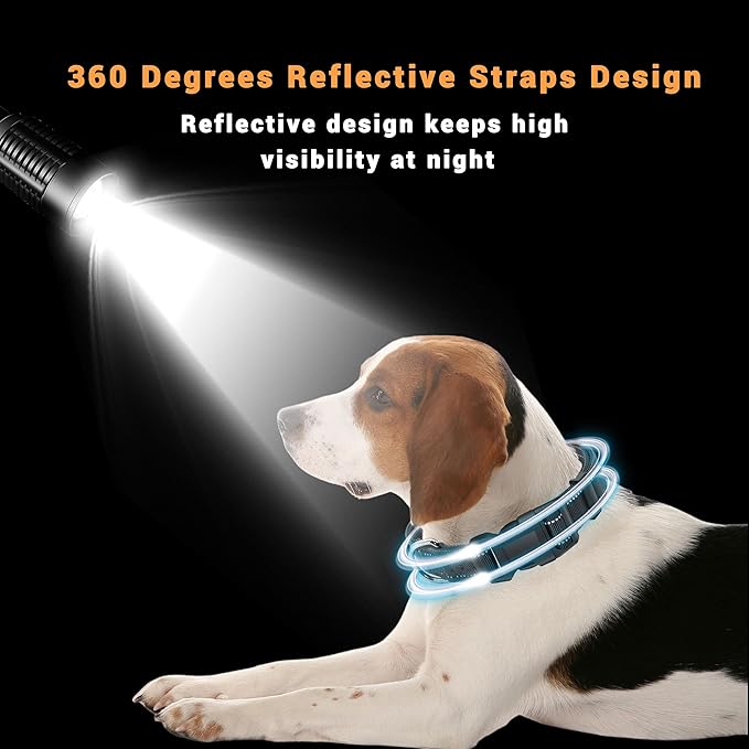 2 Pack Reflective Dog Collar with Safety Locking Buckle, Adjustable Soft Breathable Comfortable Nylon Pet Collar for Small, Medium and Large Dogs, Black, L